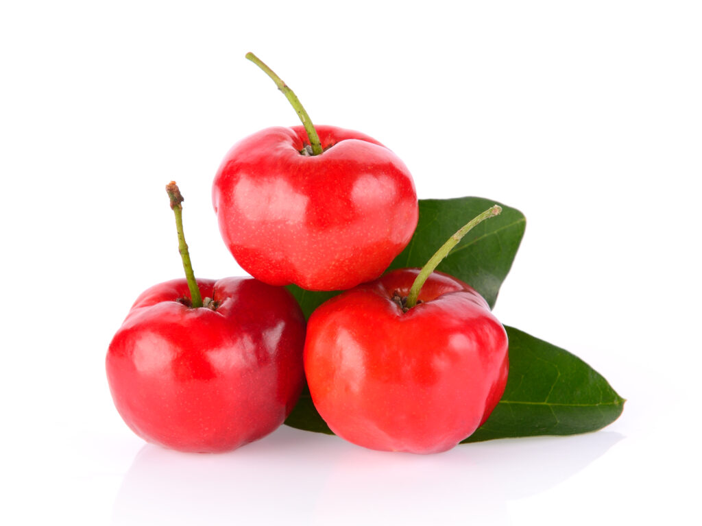 Topnew Suplementos - Emagreça em até 30 dias com saúde. acerola wra fitbeach - top new suplementos